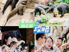 -长鹿旅游休博园