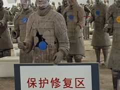-秦始皇帝陵博物院-丽山园