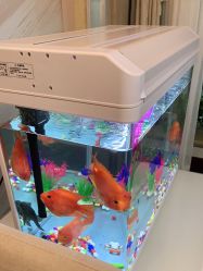-康美贞·痘肌养护管理中心
