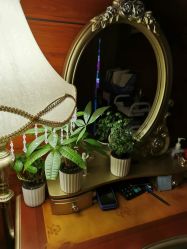 -弗蕾亚·和月月子调理院(东湖店)