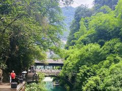 -三峡人家风景区