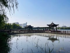 -莲花池公园