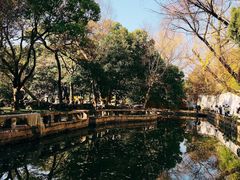 -西园戒幢律寺