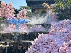 -茅山东方盐湖城景区