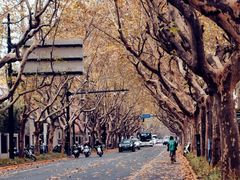 -一尺花园(安和花园店)