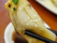 牛肉鍋貼-小姜锅贴(凤凰街店)