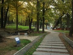 -阳台山自然风景区