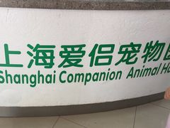 -爱侣宠医·鹦鹉专科·小型哺乳类·异宠专科(灵石路店)