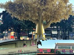 -中山利和希尔顿酒店