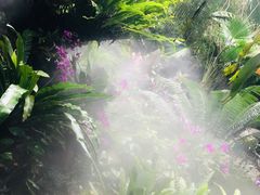 -呀诺达热带雨林