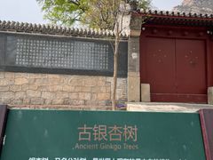 -北京凤凰岭