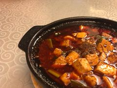 -陈麻婆豆腐总店