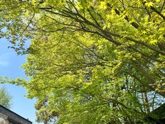 -上海市龙华烈士陵园