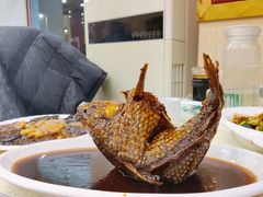 挣蹦鲤鱼-奥华餐厅·老张记(台基厂店)