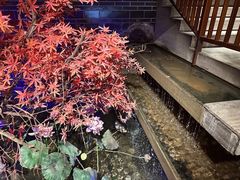 -真定郝家排骨(正定县总店)