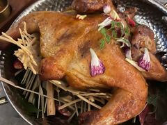 -Hi City·城市之巅