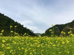 空中草原-空中草原