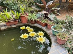-御霞苑泥烩鸡休闲农庄