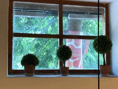 -长颈鹿咖啡(大学路店)