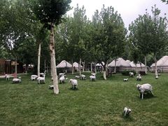 -九十九顶毡房(阜石路店)