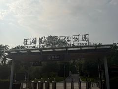 -洋湖国家湿地公园