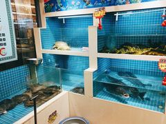 水产区-元银甲·湖北地标美食(汉阳店)