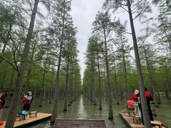 -泗洪洪泽湖湿地景区