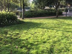 -重庆长寿碧桂园凤悦凤凰酒店