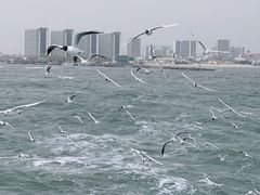 -老虎石海上公园