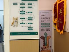 -瑞派康怡24h宠物医院·犬猫医疗中心·微创绝育(瑞景分院)