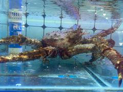 -日照大牌檔•小船海鲜(万平口店)