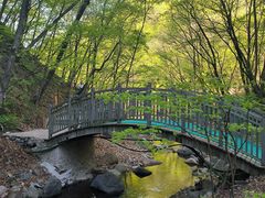 -本溪汤沟绿石谷森林公园