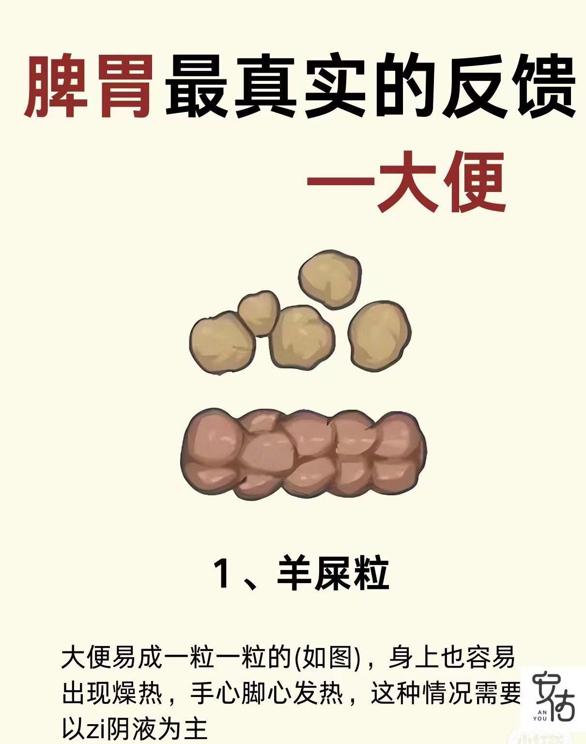 🌞大便是脾胃最真实的反馈
1️⃣羊