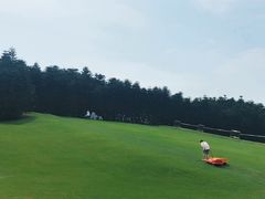 -迪茵湖田家舍生态农场