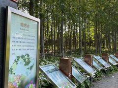 -翠湖国家城市湿地公园