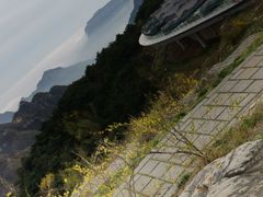 -王莽岭风景区