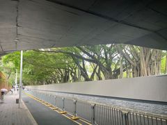 -Again Coffee Roaster(香蜜湖店)