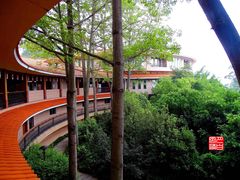 -雁南飞茶田景区