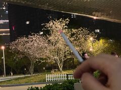 -TZ House音乐现场(来福士中心店)