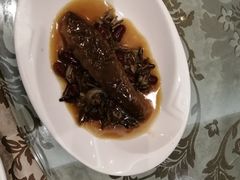 红腰豆海参-新兴家喻酒家·羊城名宴(昌岗店)