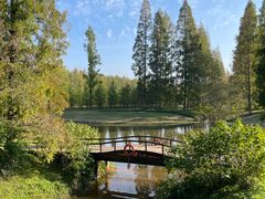 -黄海国家森林公园