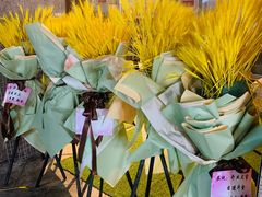 -不误正夜精酿啤酒馆(新华公园店)