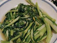 -壹盏灯(惠农店)