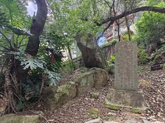 -青芝山风景名胜区