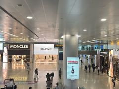 -上海浦东国际机场-T2航站楼