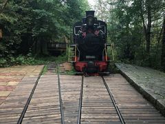 -五营红松林海景区