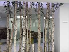 -极简口腔(总院)
