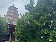-大慈恩寺(大雁塔)
