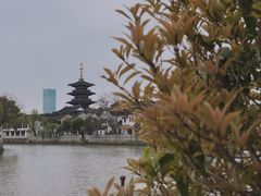 -枫桥景区