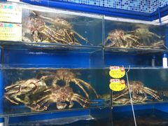 -蚝专家(北滘店)